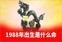 1988年出生是什么命大林木命