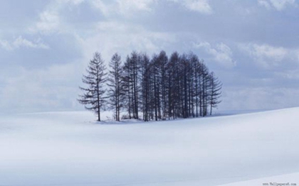 2019年小雪后一天出行出遠門好嗎,還有幾天小雪到來？(圖文)