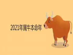 2021年屬牛本命年要注意什么犯太歲的禁忌事項(xiàng)