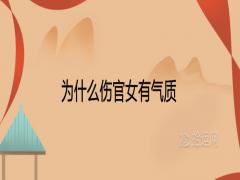 為什么傷官女有氣質(zhì)