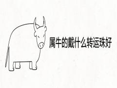 屬牛的戴什么轉(zhuǎn)運珠好