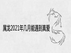 屬龍2021年幾月能遇到真愛