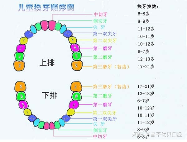 孩子換牙八字牙