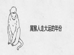 屬猴人走大運(yùn)的年份