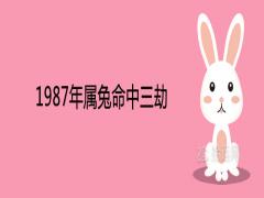 1987年屬兔命中三劫是什么出現(xiàn)在哪一年