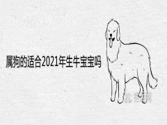 屬狗的適合2021年生牛寶寶嗎最忌生什么屬相寶寶