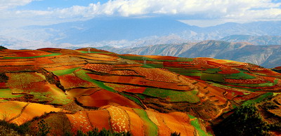 土命虎人住九層好嗎？適合住在什么樓層？