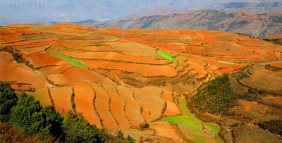 路旁土命會克山頭火命嗎？山頭火命幾月出生的好？