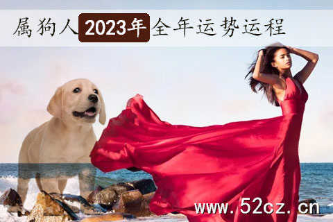 不同年份的屬狗人2023年全年運勢詳解