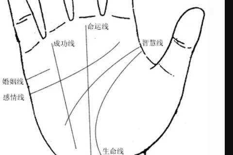 女人手指粗的命運?比較務實上進