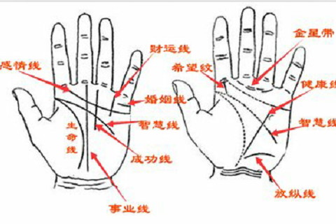 右手食指有痣最有福氣?右手食指內側長痣代表什么